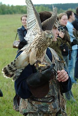 Falconry Hunting Tour
