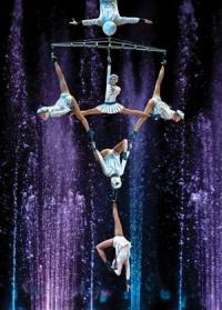 Acrobats and gymnastics artistic will admire You in this magnetic theatre perfor
