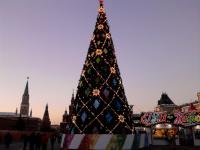 Christmas Tree in the Red Square