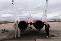 Photo of tourist from Sweden  near MiG-29 engines with our manager